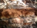 2010-10-01 15.45.46.jpg (1 MB)